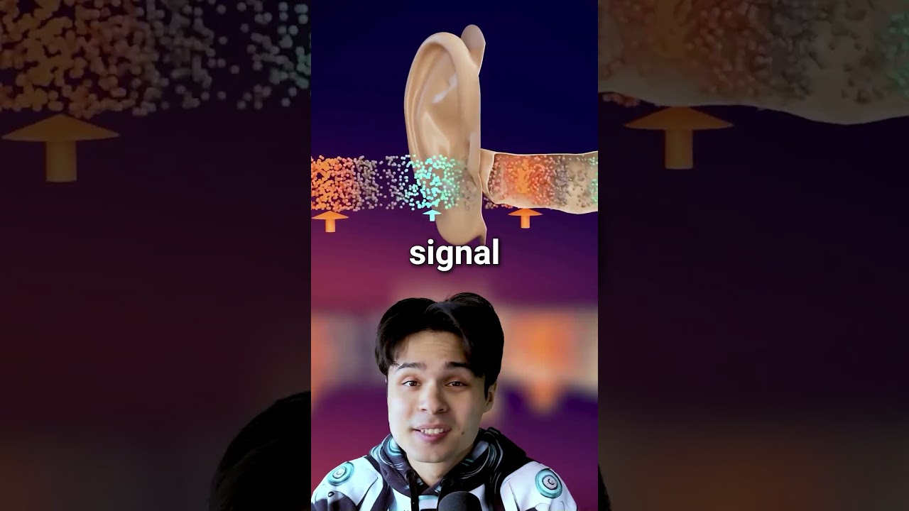 Apple's New AirPods Has a Hidden Problem