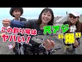 GO!GO!九ちゃんフィッシング #485 「カゴ釣りで狙う新潟のギガアジ! 直江津第3東防波堤 Part.1」