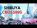 Japan 360* - Shibuya Crossing Tokyo 4KHD 2025