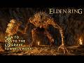 ELDEN RING How to Get to the Stonedigger Troll in the Limgrave Tunnels