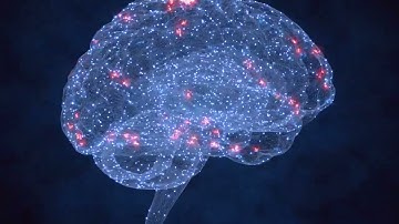 The Science of Naps: Boost Focus, Memory & Productivity Instantly! 🧠✨