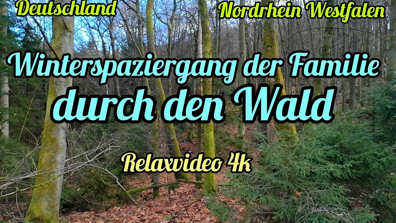 Winterspaziergang im Wald in Deutschland. Vom ersten Schnee zum Frühlingsgefühl . 4K.