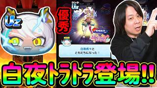 ぷにぷに 「運営さん‥強いUZが輝ける環境を作りませんか？」【妖怪ウォッチぷにぷに】 白夜虎々登場  Yo-kai...