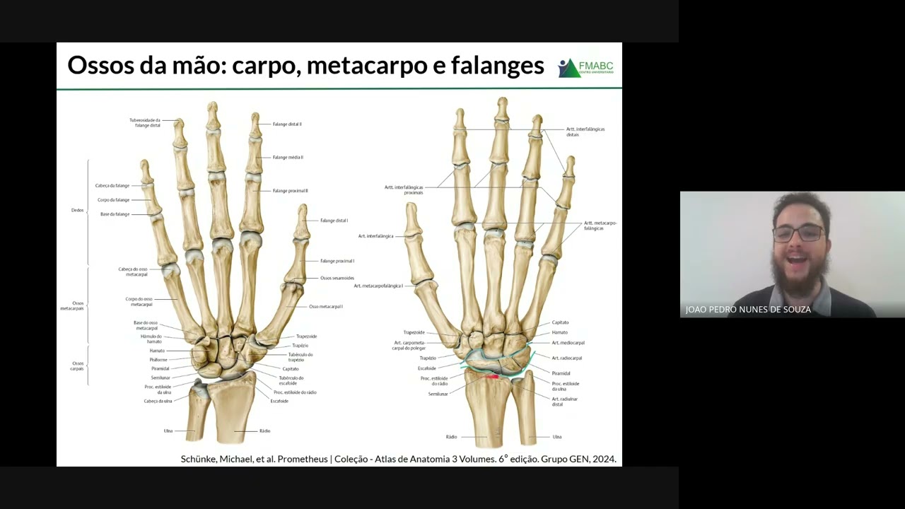 Sistema esquelético apendicular