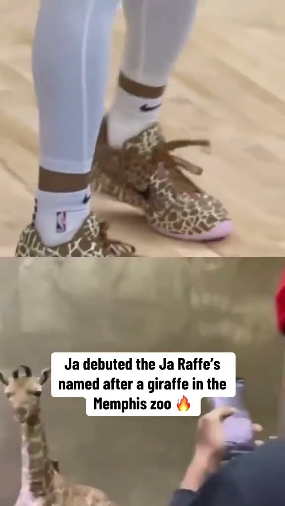The Ja Raffe’s ?