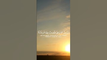 هو الذي يريكم البرق خوفا وطمعا.⛈️.)         بصوت القارئ عبد الرحمن مسعد🎤