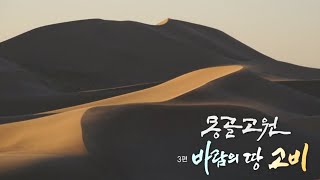 KBS 걸작 다큐멘터리 (몽골고원 3편 - 바람의 땅 고비) #Mongolian Plat #Gobi des.