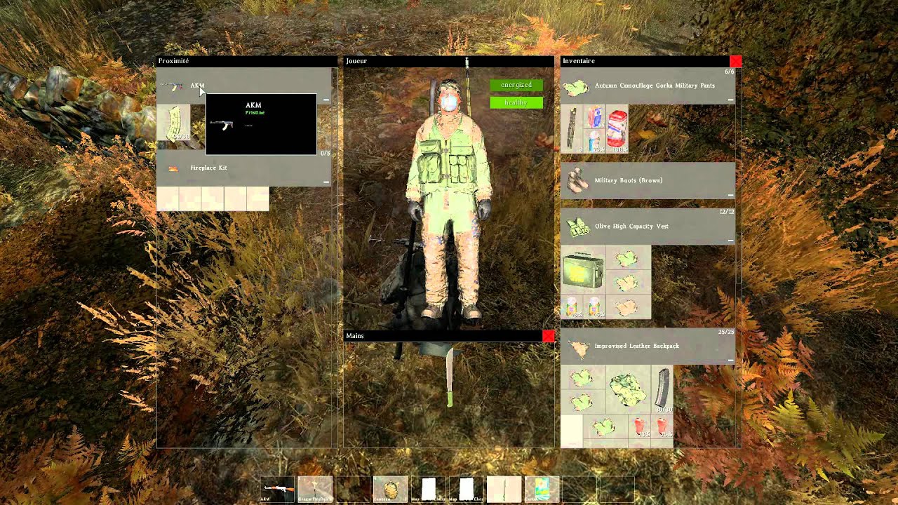 Dayz Standalone chasse et feu de camps et cuisson ; fireplace hunting