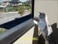 いつかあの街に