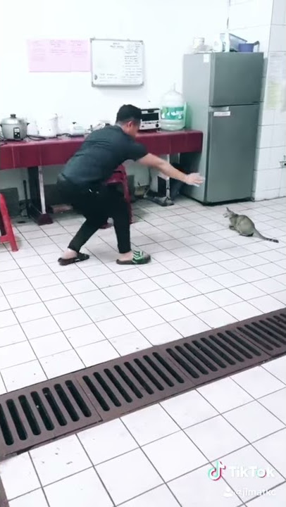 STORY WA TERBARU JIMAT KOCAK..SEMONGKOO