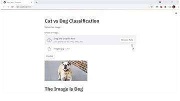 Cat vs Dog Classification using Transfer Learning || #shorts #ytshorts || Machine Learning in Telugu