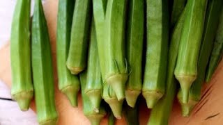 Kurkuri Bhindi (Crispy Okra) Recipe By cooking with yusra