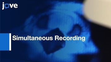 Simultaneous Recording:Calcium Signals From Identified Neurons & Feeding Behavior l Protocol Preview