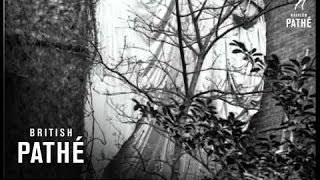 An Unwelcome Visitor (1925)