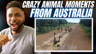 🇬🇧BRIT Reacts To OUTRAGEOUS ANIMAL MOMENTS FROM AUSTRALIA!