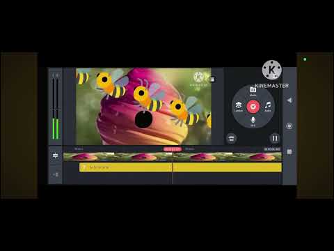 ctc beez speedrun 