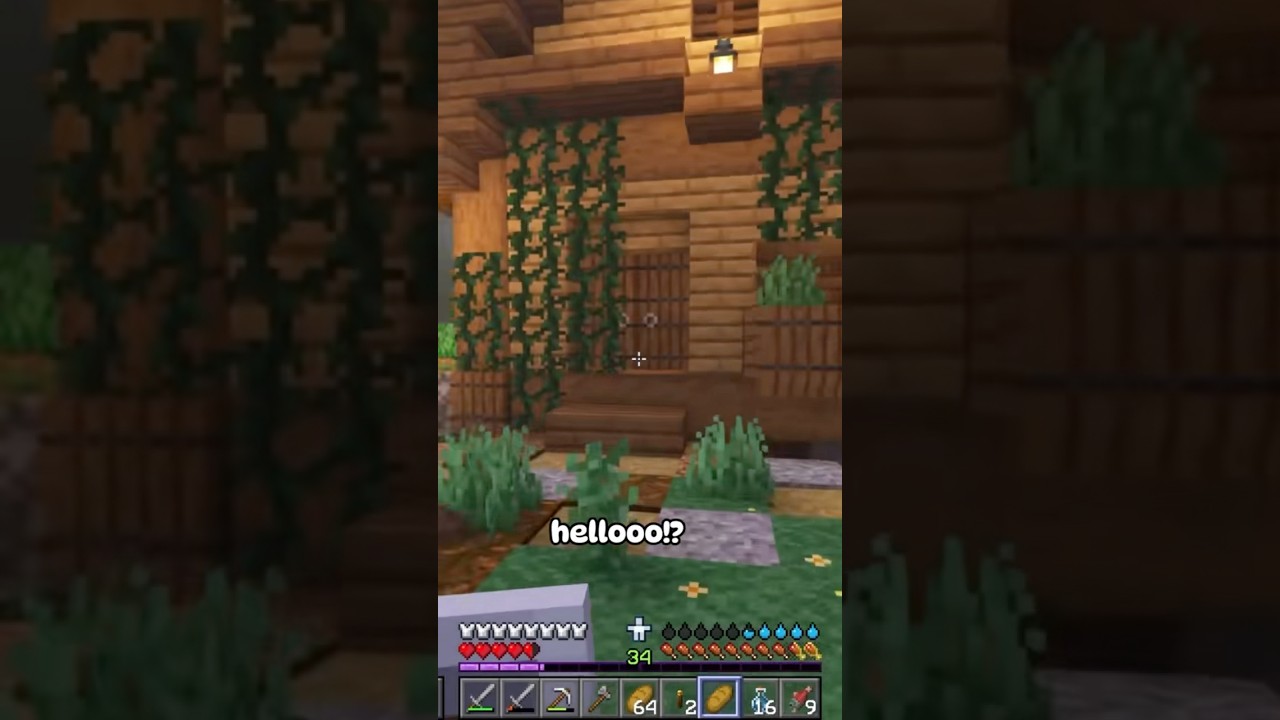 What a RUDE Villager 😒✋🏽 #minecraft #minecraftsurvival #moddedminecraft