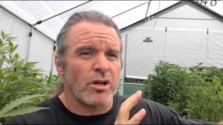 Light Dep Cultivation with Kevin Jodrey of Wonderland Nursery