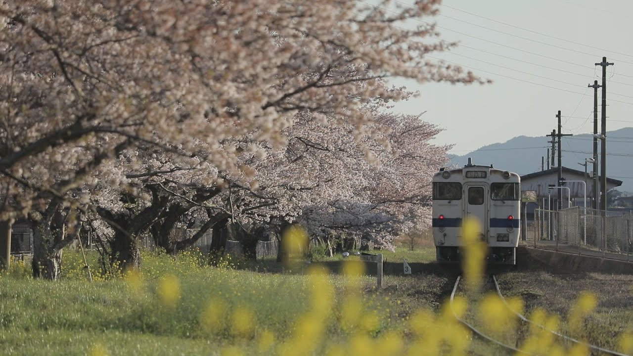 動画｜KBC九州朝日放送