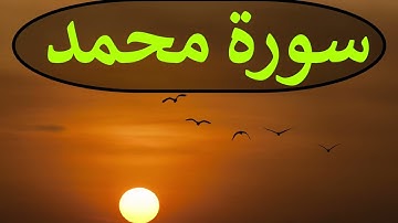 تلاوة سورة محمد كاملة للقارئ احمد الشبلي | surah Muhammad