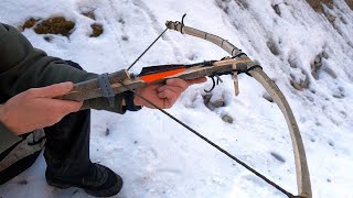 DIY Crossbow and Arrows in Action