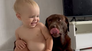 Baby Boy's Cutest Morning Routine with His Faithful Dog