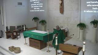 St. Patrick Catholic Church, Tampa, FL 14th Sunday in OT 7/5/26