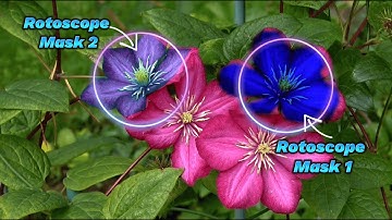 How to Apply two Rotoscoping Mask to a single clip