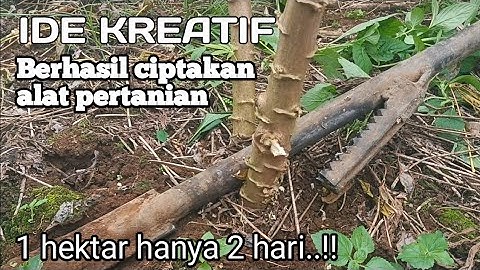 petani sukses ciptakan alat cabut singkong sederhana tapi luar biasa