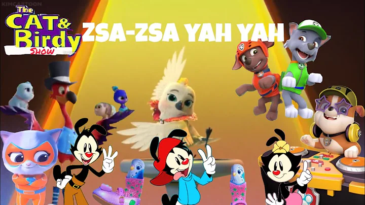 Cat n birdy zsa-zsa yah yah Music Video 🕊️🥳