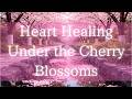 Would You Like to Rest Under the Cherry Blossoms? | Relaxing Healing Music with Flowing Water