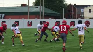 Cougars vs. Panthers scrimmage