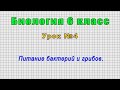 Биология 6 класс (Урок№4 - Питание бактерий и грибов.)