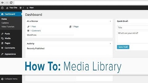 Introduction to the Media Library