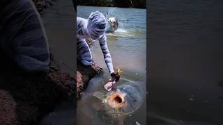 The Giant Fish Took One Look... Then Swam Away. 👀🌊#riverfishing #fishinglife #bigfish
