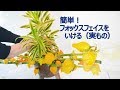 【簡単！フォックスフェイスのオシャレな飾り方】_頭の重い実の植物をいける_Sogetsu Ikebana