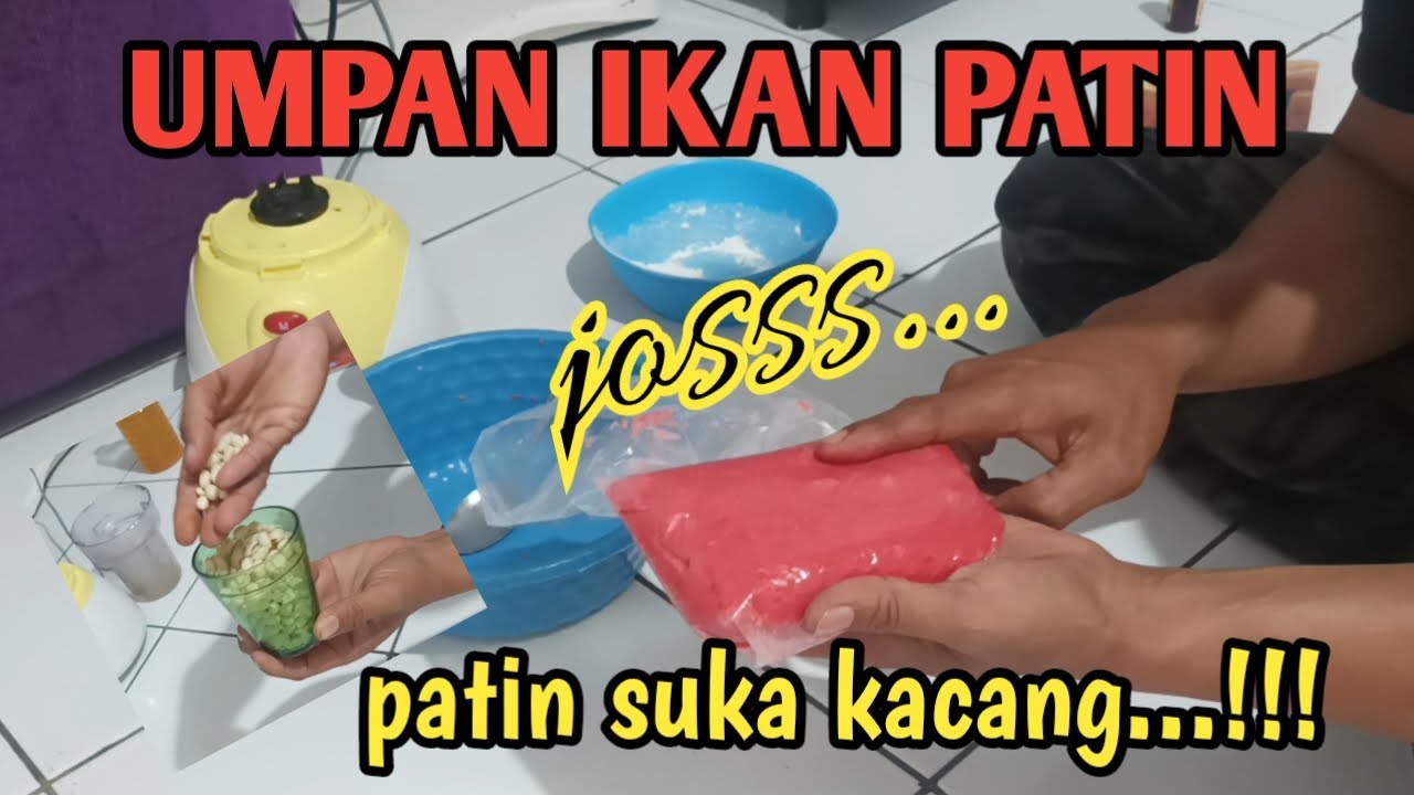 Umpan patin ini sangat ampuh..!! Andalan orang sumatera #galatamaikanpatin