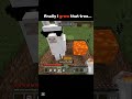 I met a fancy Lama in Minecraft #funny #minecraft #lj #minecraftshorts #ai #fahh #minecraftanimation