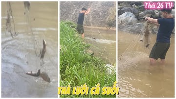 Bắt cá suối | thả lưới cá suối