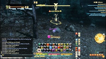 Targeting bug.( FF14)