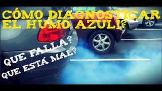 HUMO AZUL POR EL ESCAPE? COMO SABER SI SON ANILLOS O CABEZA EL PROBLEMA! || LUIS HER