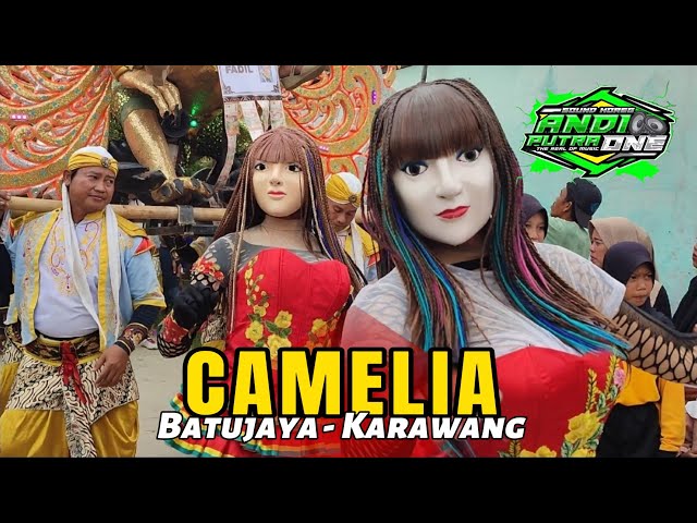ANDI PUTRA 1 CAMELIA || Batujaya - Karawang | Singa Depok class=
