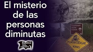 El misterio de las personas diminutas | Relatos del lado oscuro