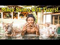 Mikey williams swims with tigers and more   myrtle beach safari