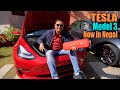 Tesla Model 3 Now in Nepal | Lokesh Oli