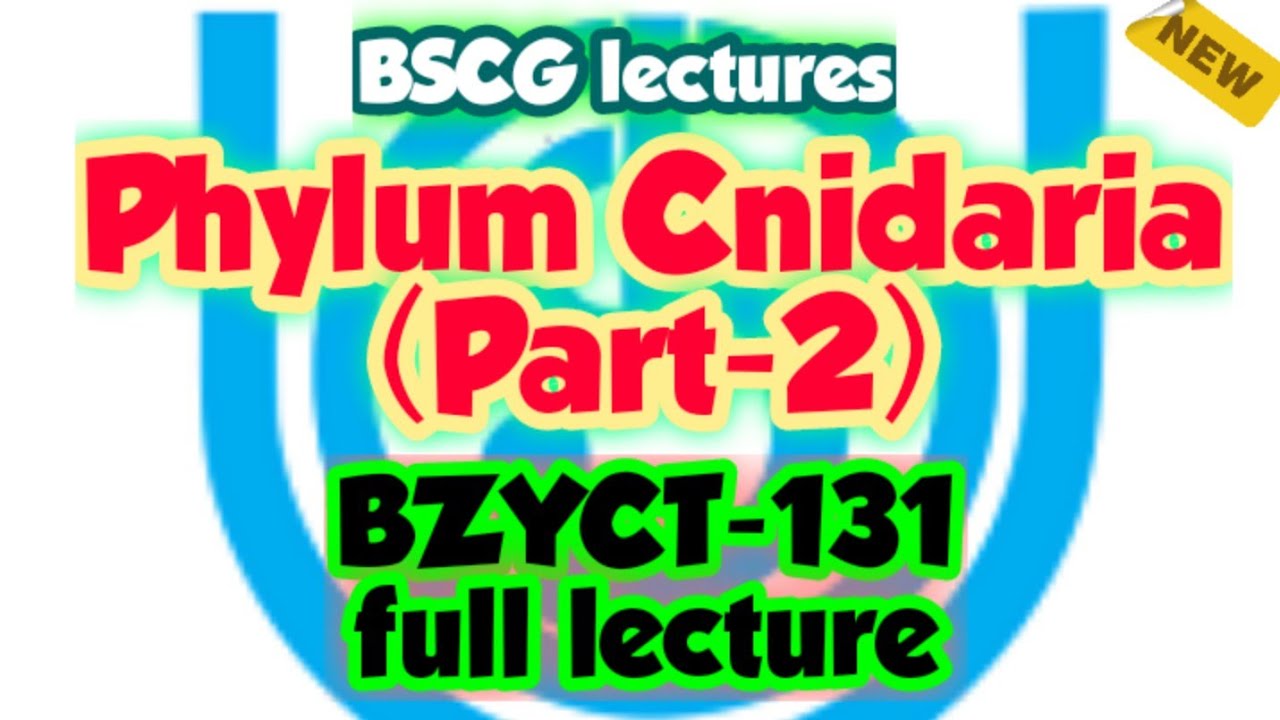 Phylum Cnidaria (Part-2) | Zoology | Animal Kingdom| BSCG LECTURES ...