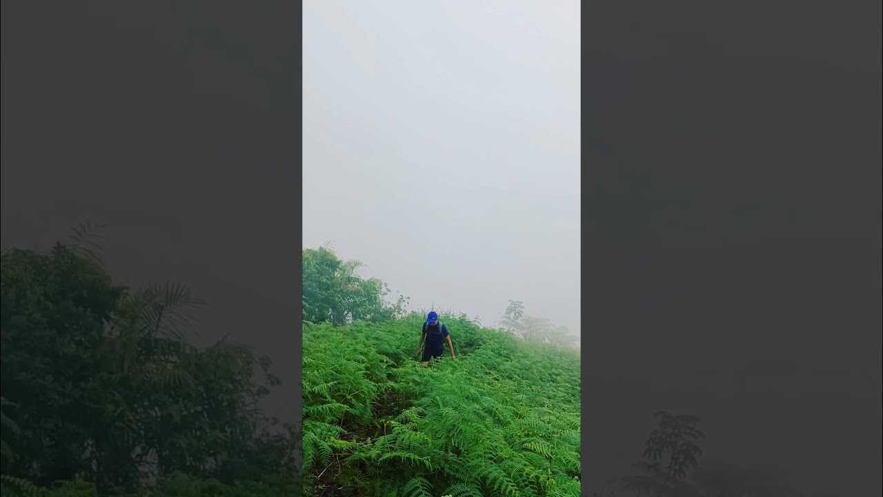 Hiking on this foggy mountain