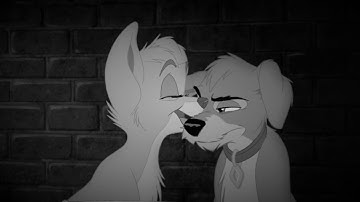 Me, Myself and I • Animash [ MEP #2 ]