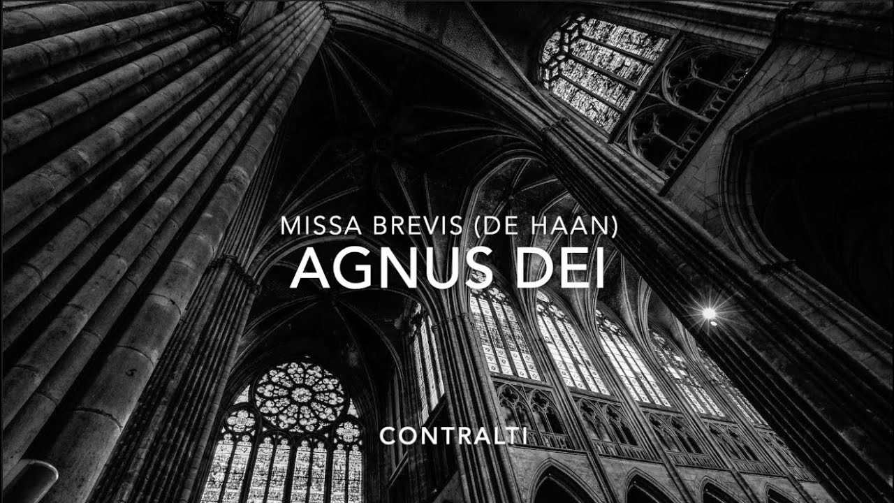 AGNUS DEI | CONTRALTI | Missa Brevis (De Haan) Base musicale