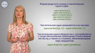 Русский 6 Целые числительные Русский 6 Целые числительные